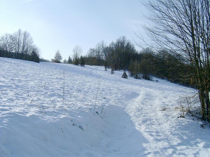 20110122 043.jpg